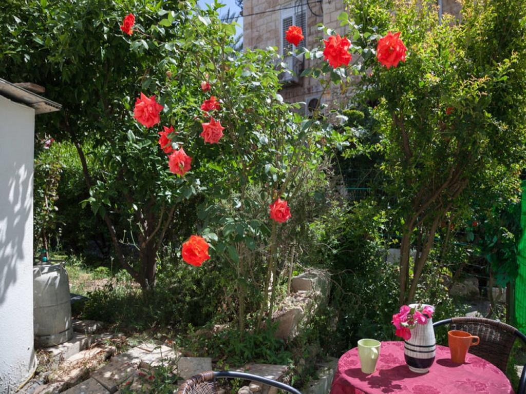 Alona'S Apartments Haifa Luaran gambar